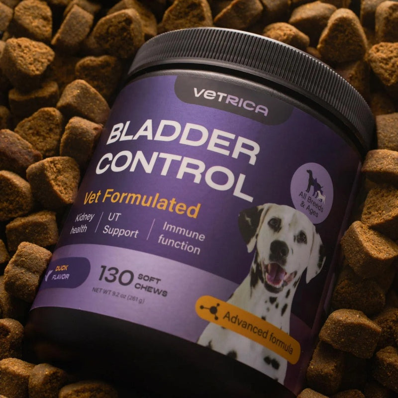 Dog UTI Treatment Duck Flavor Bladder Control Cranberry Chews Dog Cranberry Supplement For Urinary Tract Bladder & Kidney Health Cranberry D Mannose Soft Treats For Dog Incontinence Healthy Bladder